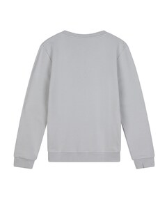 Jongens sweater grijs