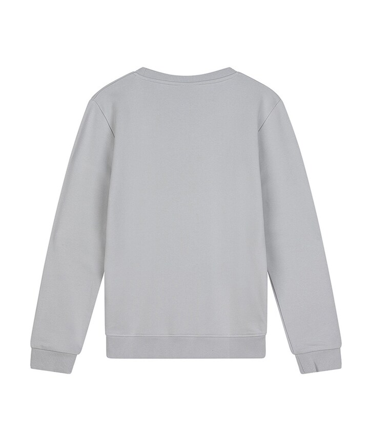 Jongens sweater grijs