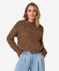 Dames trui bruin