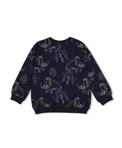 Jongens sweater blauw