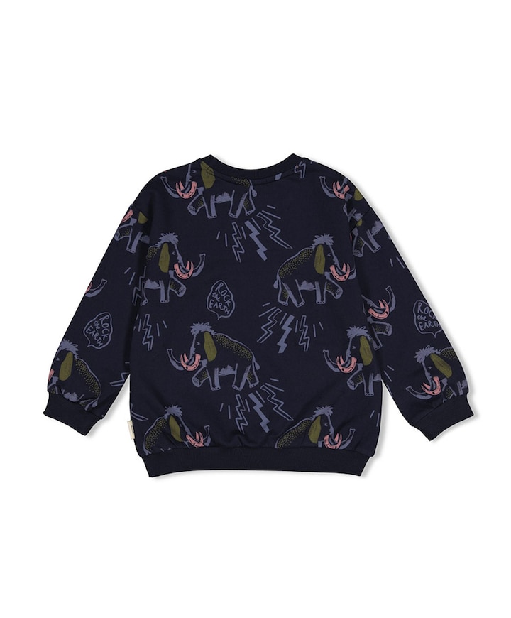 Jongens sweater blauw
