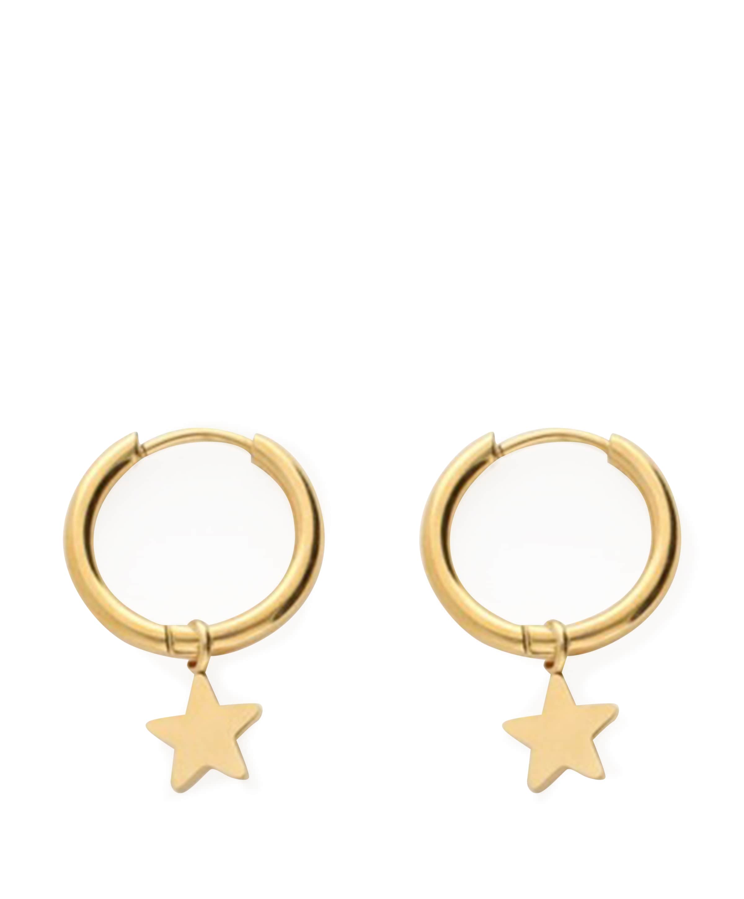 Dames oorbellen goud