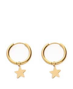 Dames oorbellen goud