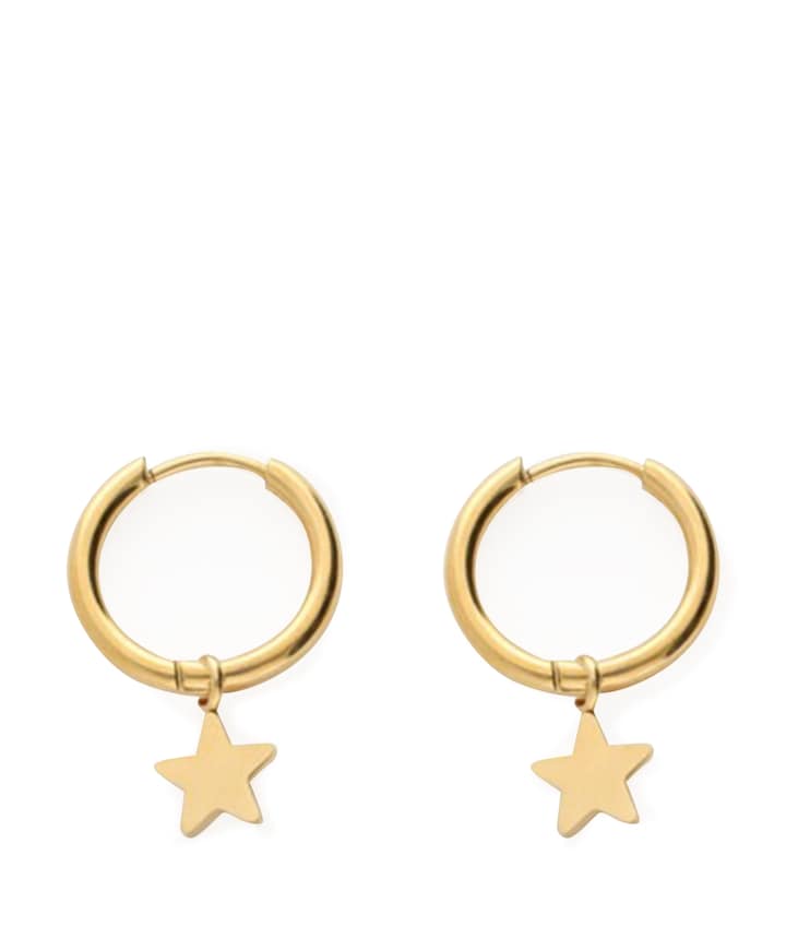 Dames oorbellen goud