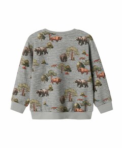 Jongens sweater grijs