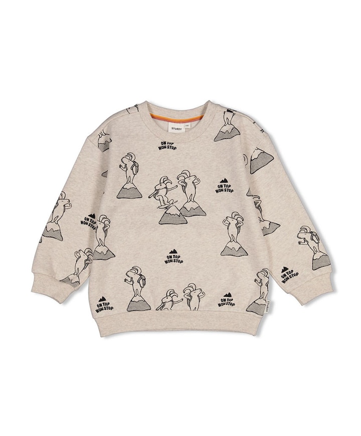 Jongens sweater ecru