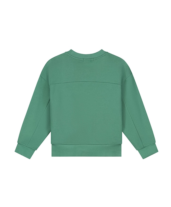 Jongens sweater groen