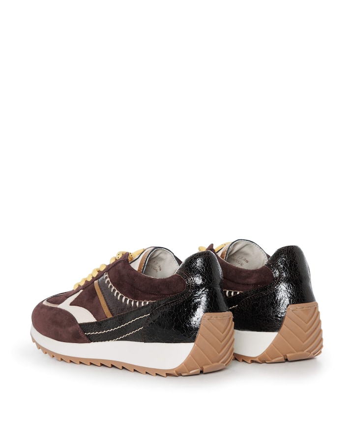 Harlem dames sneakers bruin