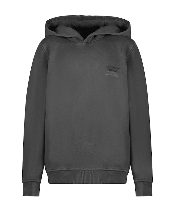 Jongens hoodie grijs