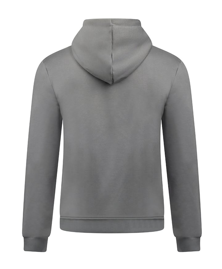 Jongens hoodie grijs