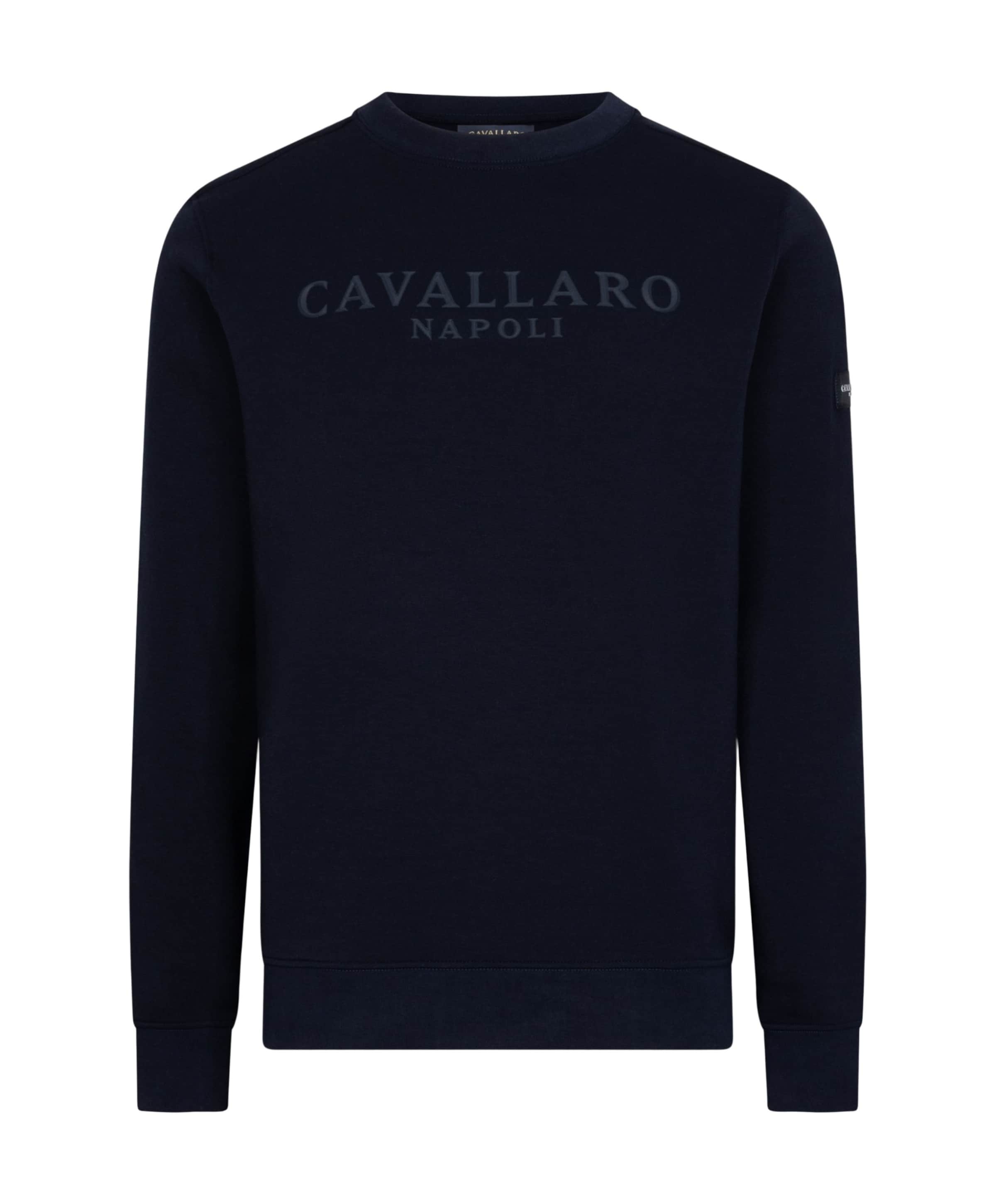 Heren sweater blauw