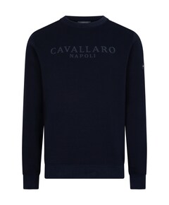 Heren sweater blauw