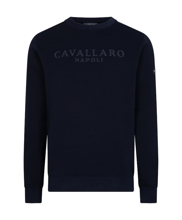 Heren sweater blauw