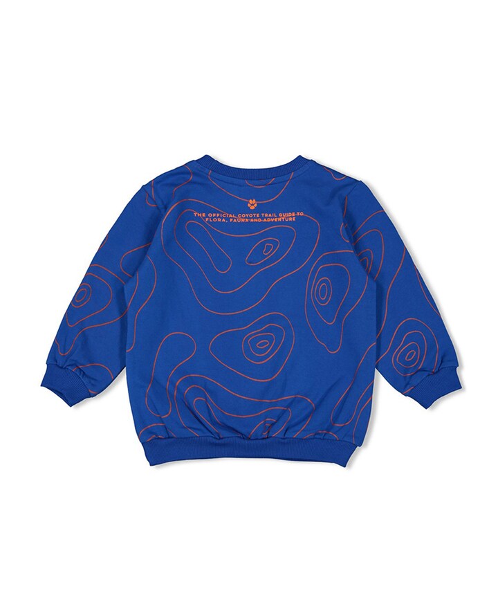 Sweater blauw