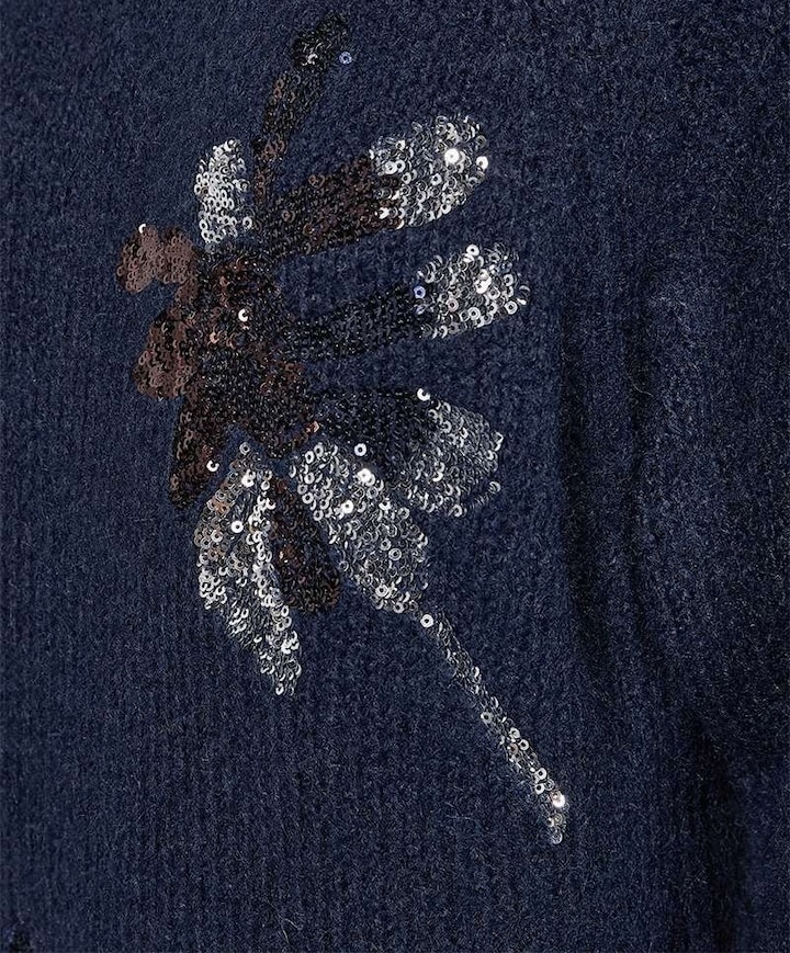 Dames trui blauw