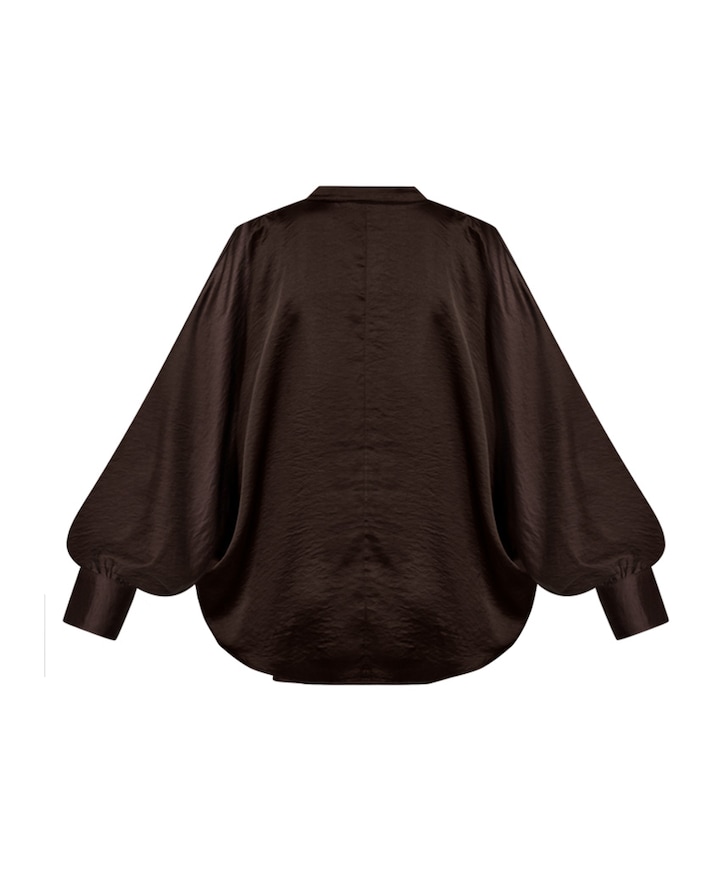 Dames blouse bruin