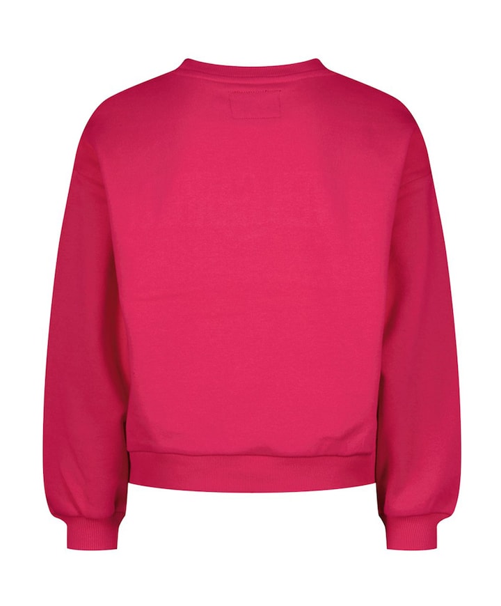 Meisjes sweater roze