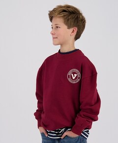 Jongens sweater bordeaux