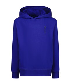 Hoodie blauw