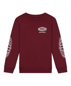 Jongens sweater bordeaux