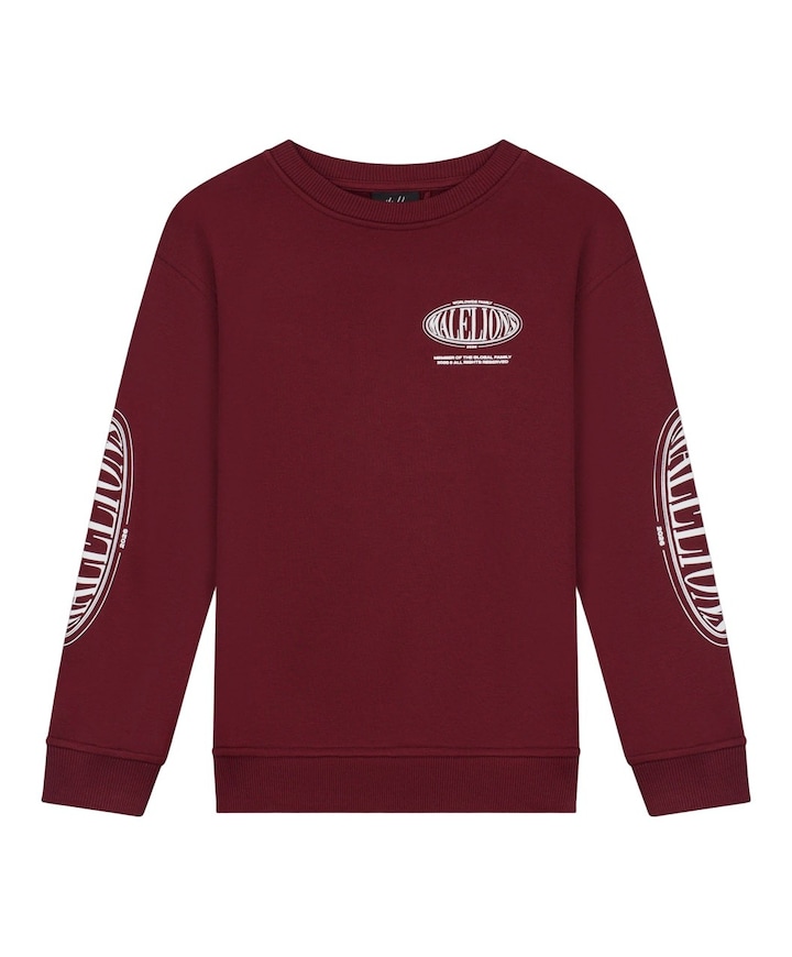 Jongens sweater bordeaux