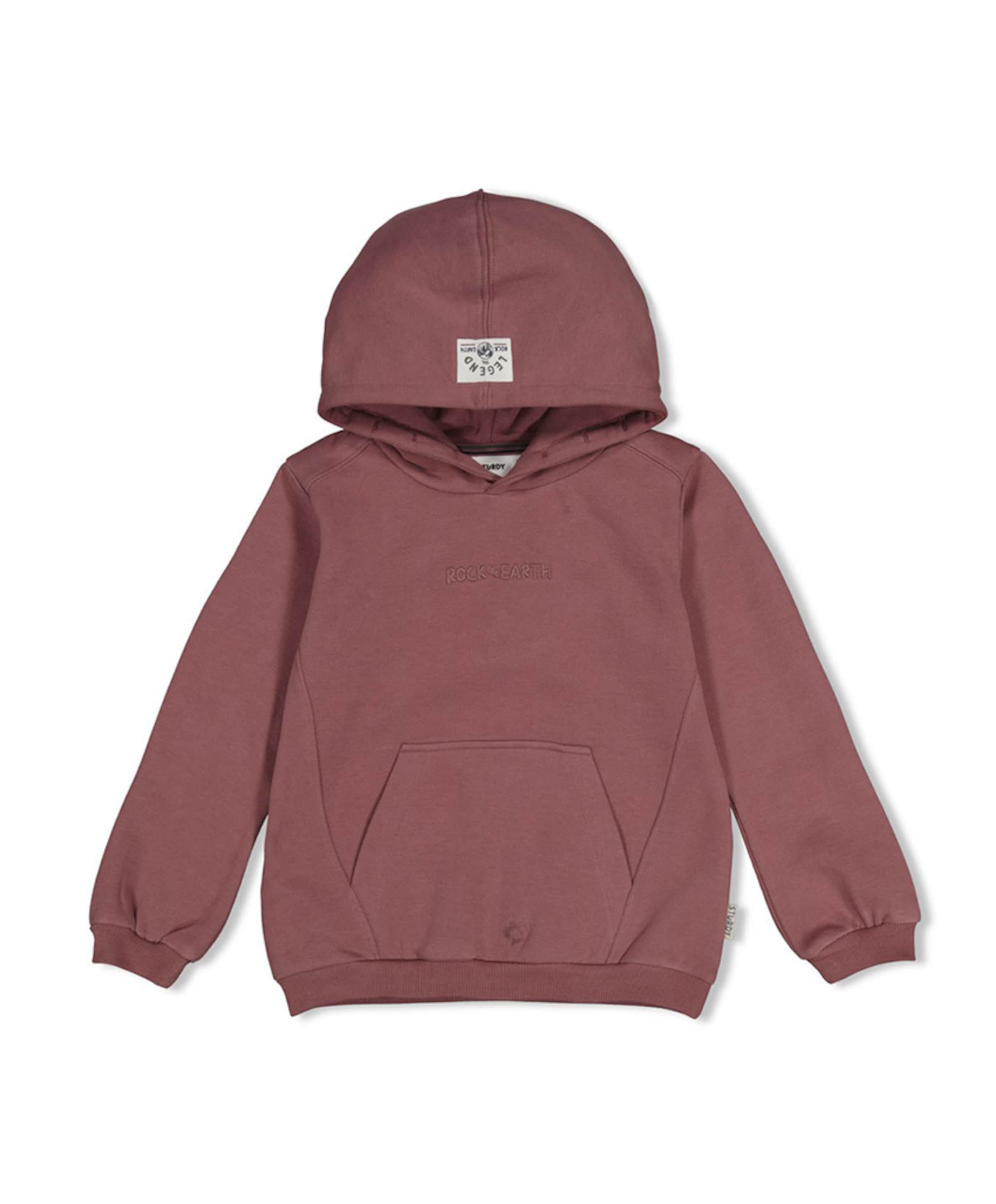 Jongens hoodie paars