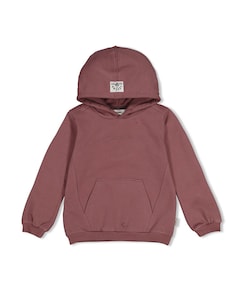 Jongens hoodie paars