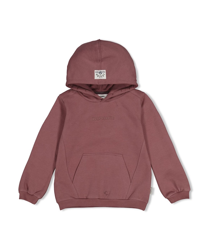 Jongens hoodie paars