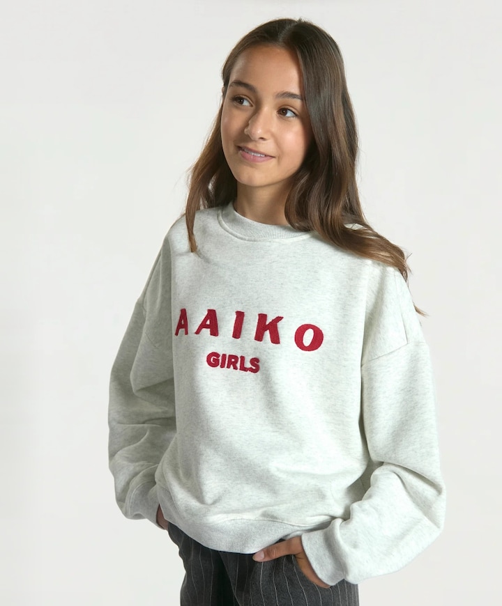 Meisjes sweater grijs