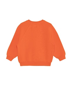 Uniseks sweater  oranje
