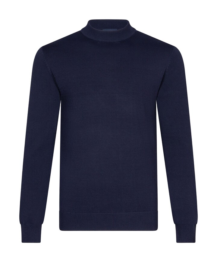 Heren coltrui blauw