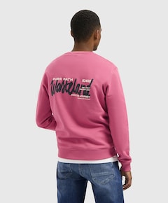 Heren sweater roze