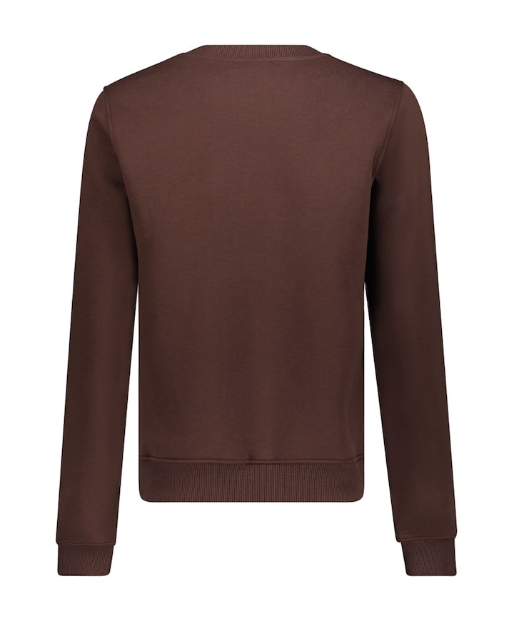 Dames sweater bruin
