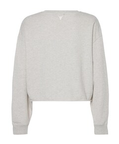 Dames sweater grijs
