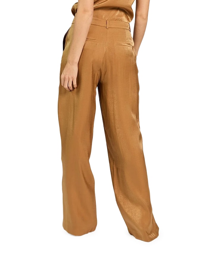 CECILIA VIS 355 dames broek bruin