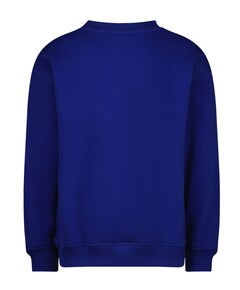 Sweater blauw