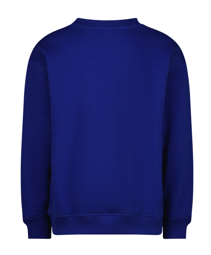 Sweater blauw