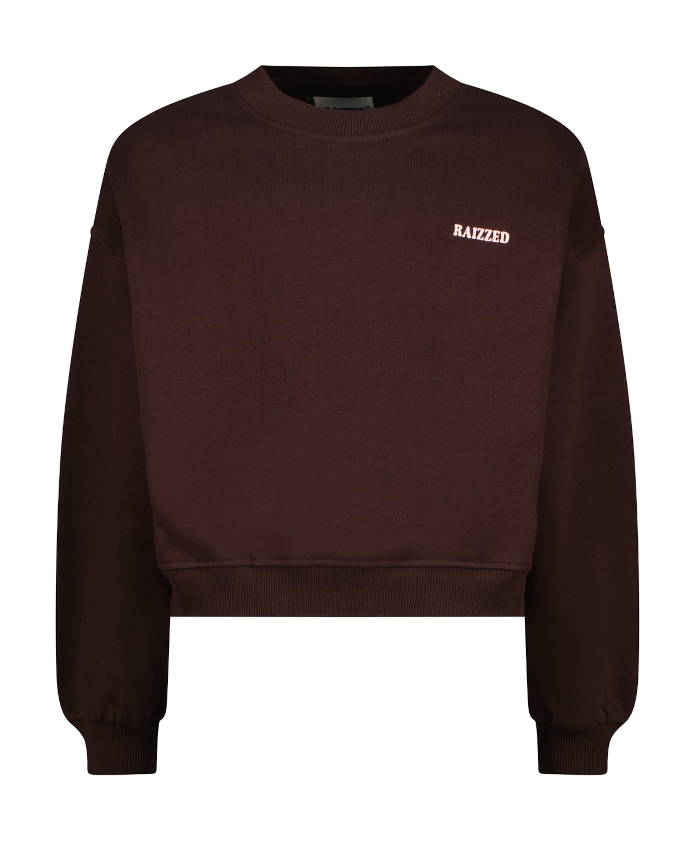 Meisjes sweater bruin