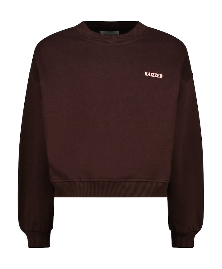Meisjes sweater bruin