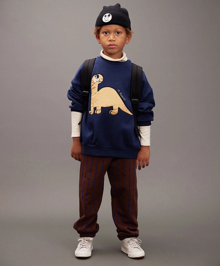 Jongens sweater blauw