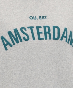 Dames sweater grijs