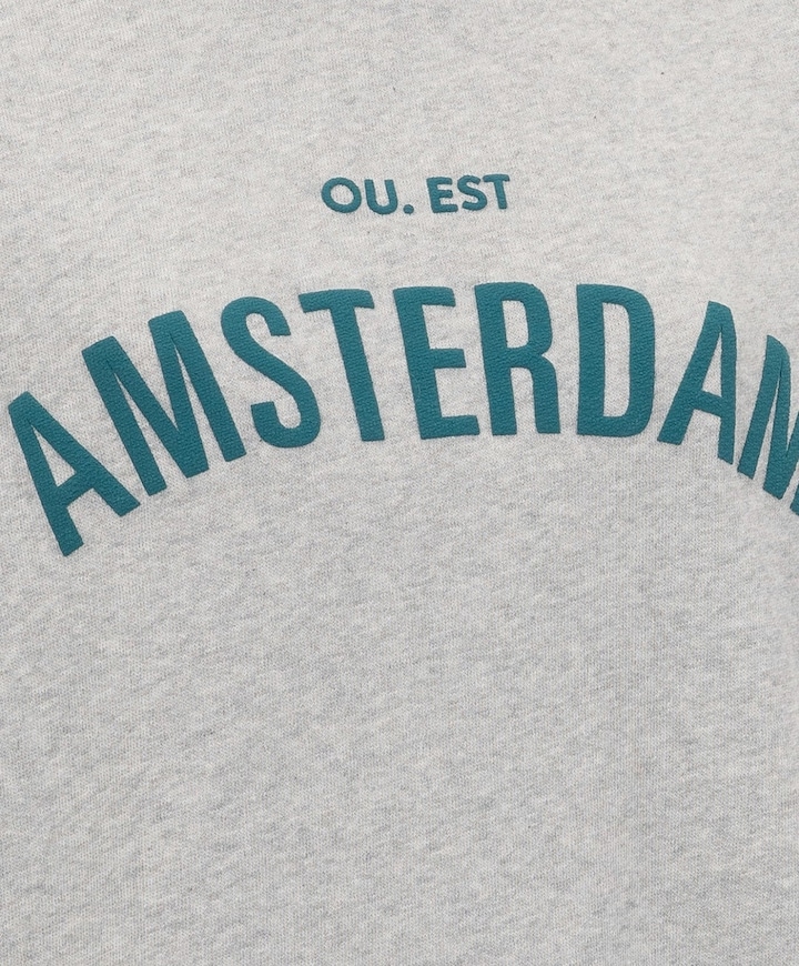 Dames sweater grijs