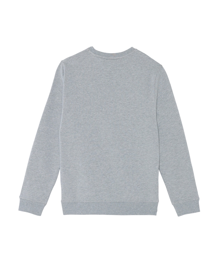 Jongens sweater grijs