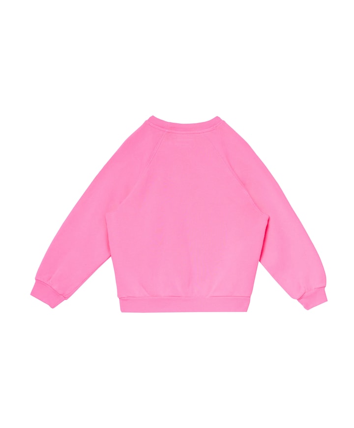 Meisjes sweater roze