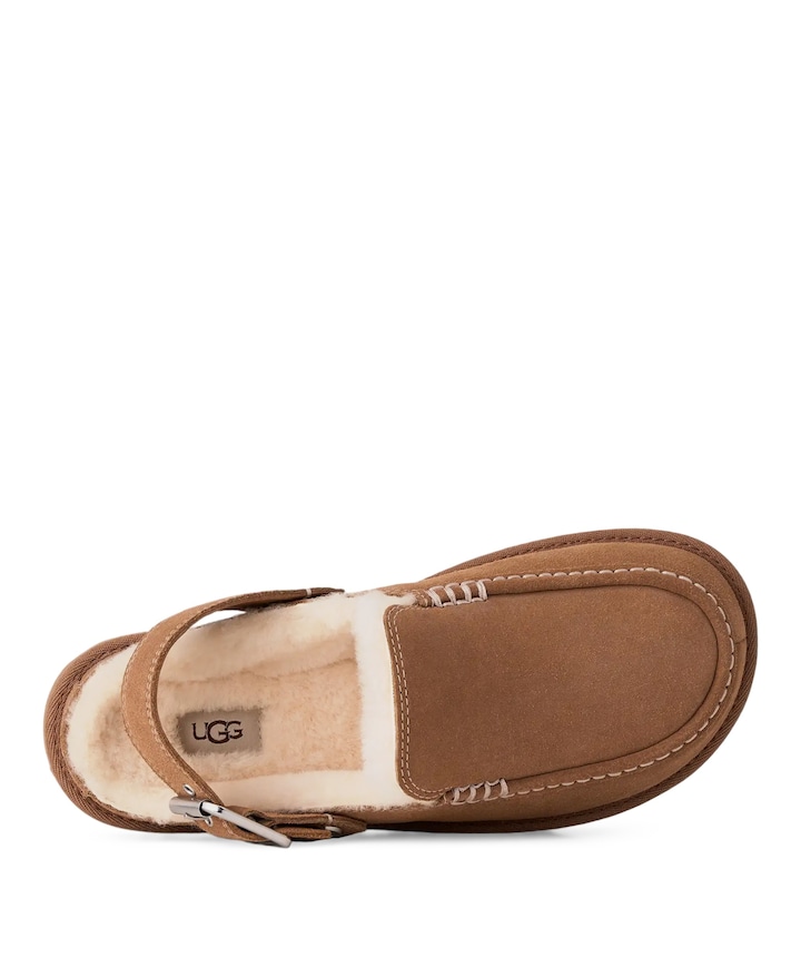 W GOLDENSTAR EVELINA dames clogs bruin