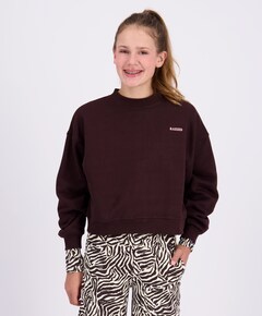 Meisjes sweater bruin