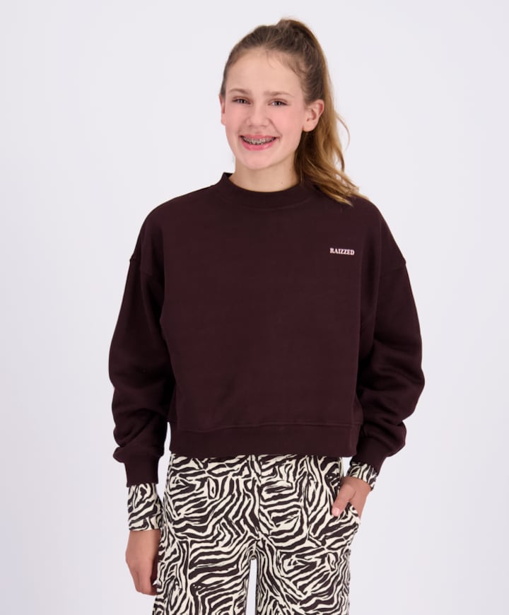 Meisjes sweater bruin