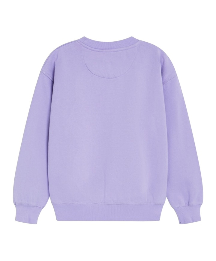 Meisjes sweater paars