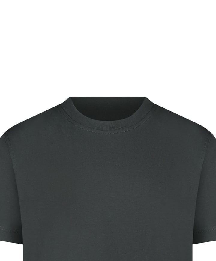 Jongens T-shirt grijs