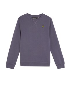 Sweater grijs